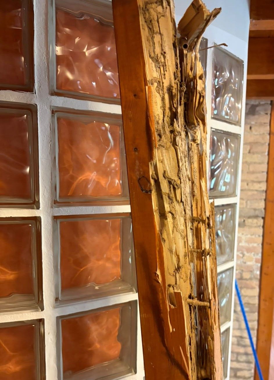Viga de madera afectada por termitas antes de su reparación en La Eliana